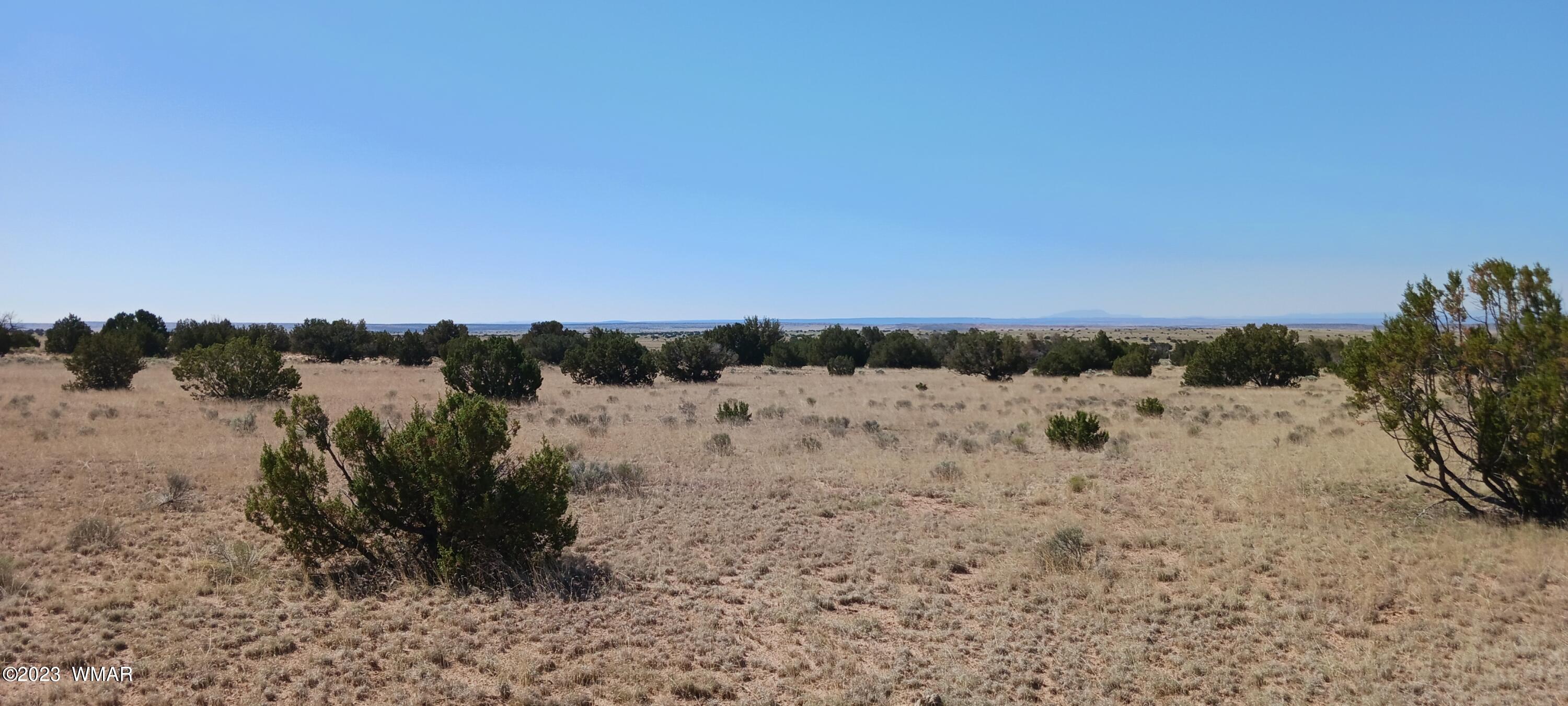 Lot 367 (red Sky Ranches) St. Johns, AZ 85936 - Photo 26 of 35