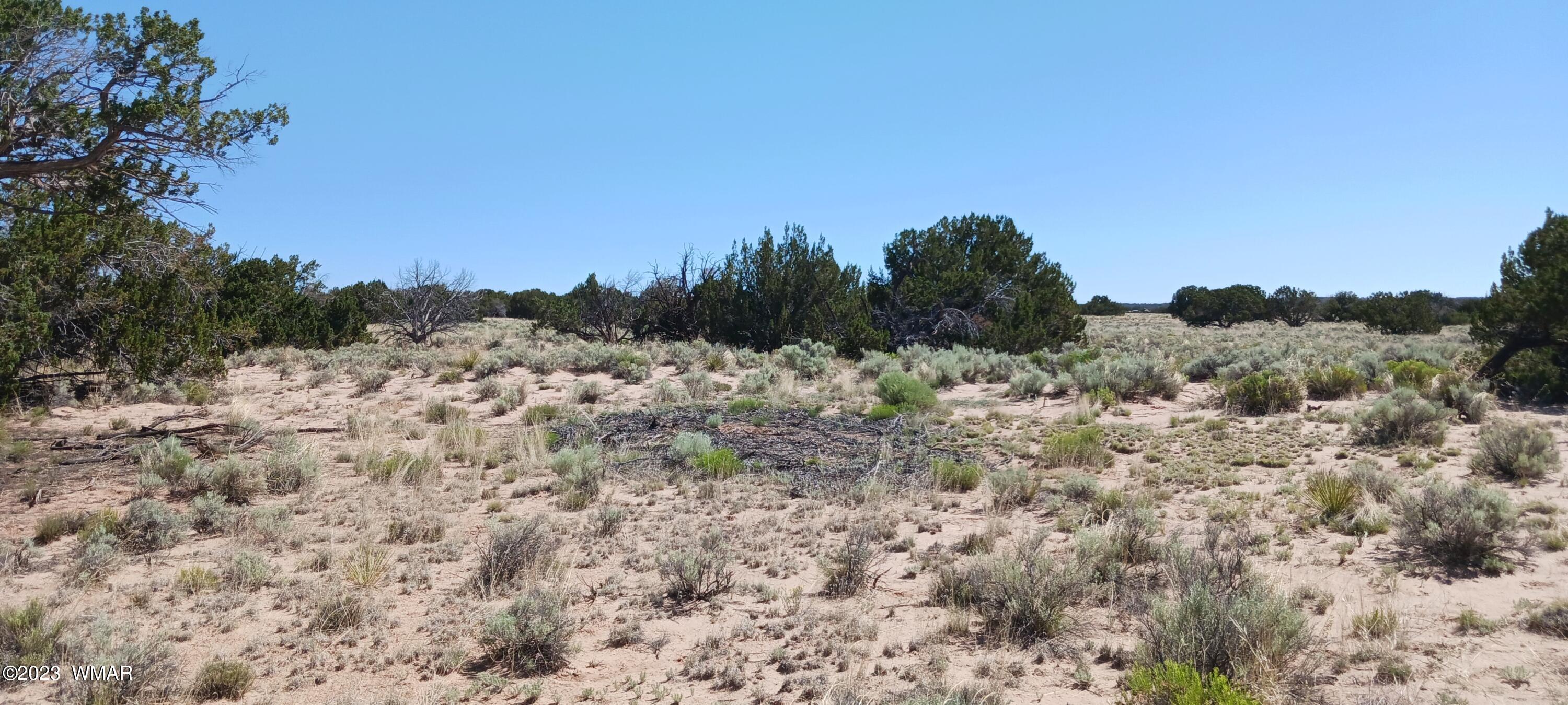 Lot 367 (red Sky Ranches) St. Johns, AZ 85936 - Photo 27 of 35