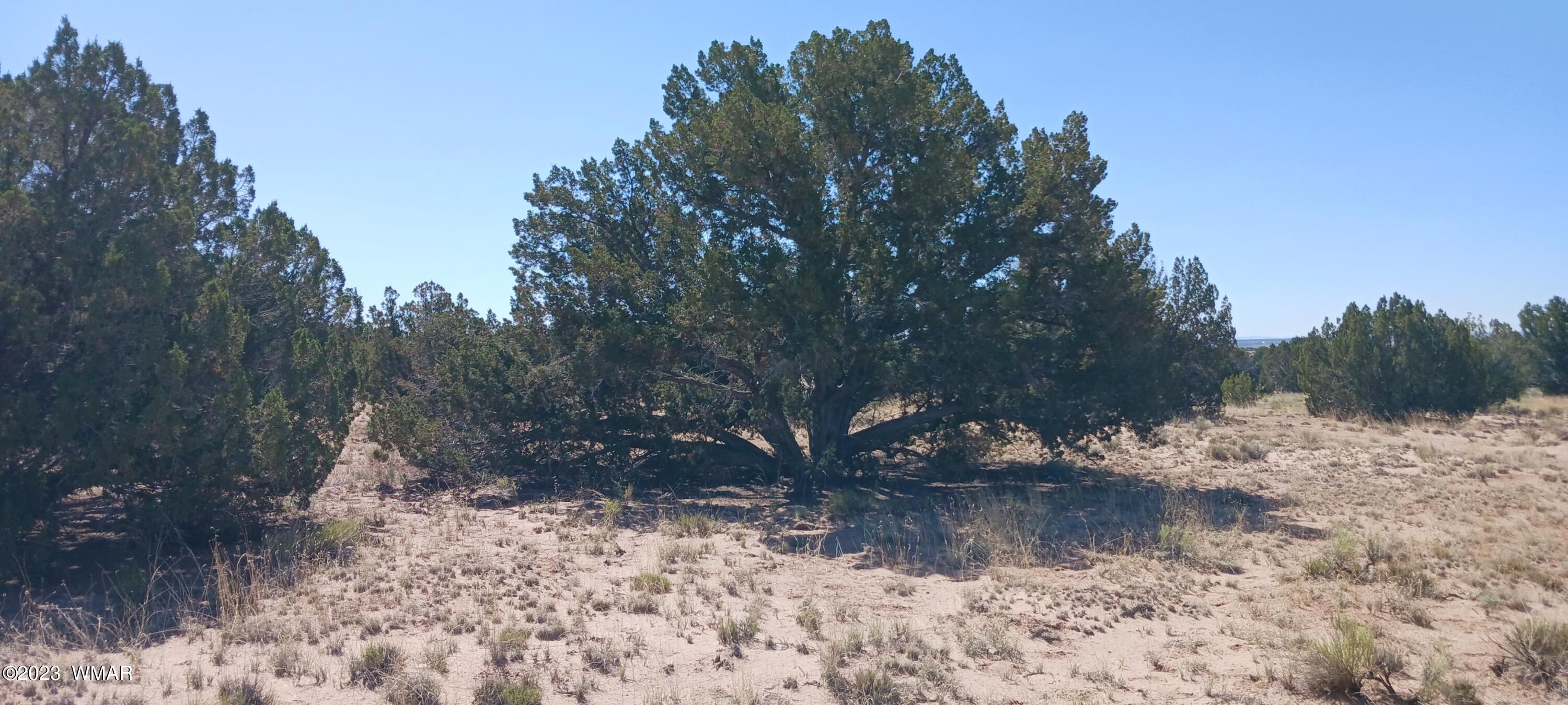 Lot 367 (red Sky Ranches) St. Johns, AZ 85936 - Photo 29 of 35