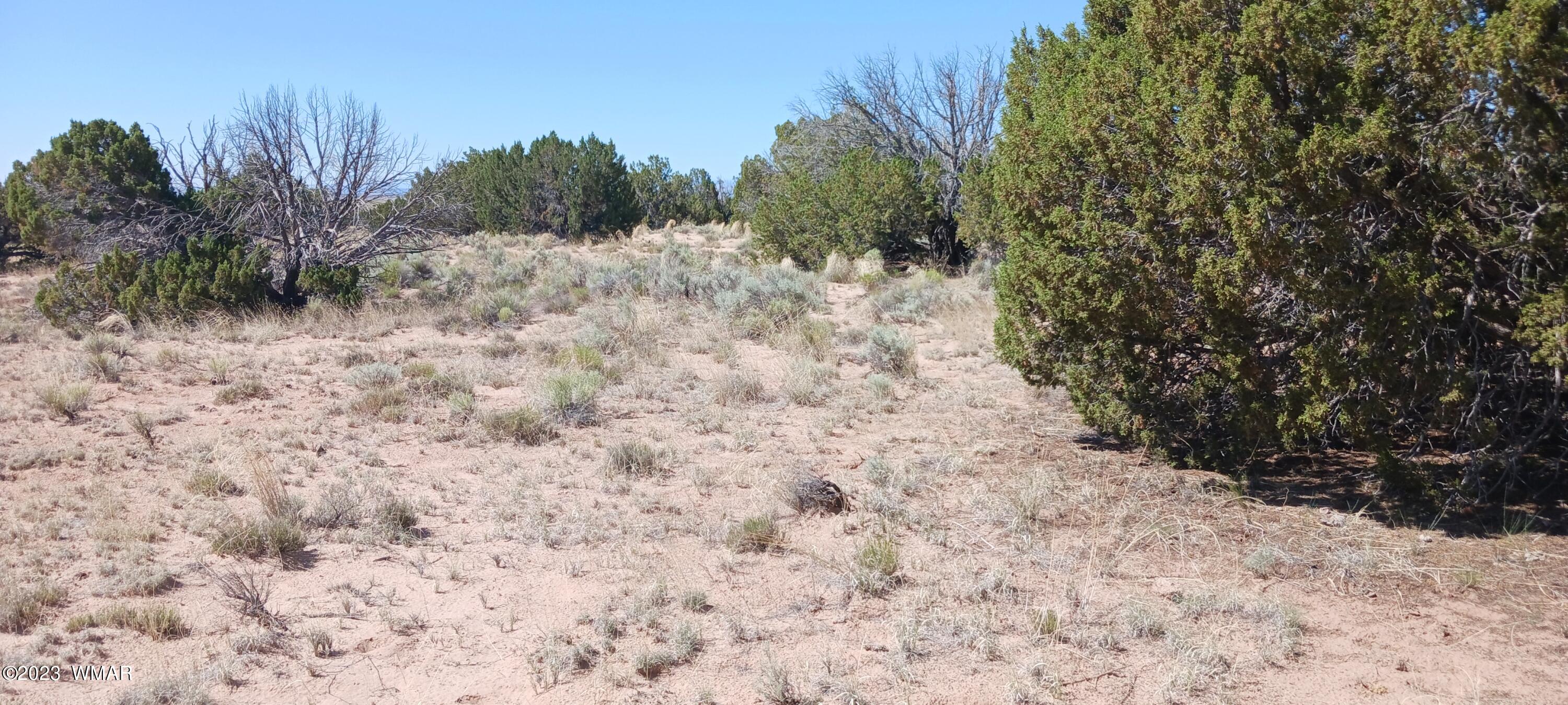 Lot 367 (red Sky Ranches) St. Johns, AZ 85936 - Photo 30 of 35