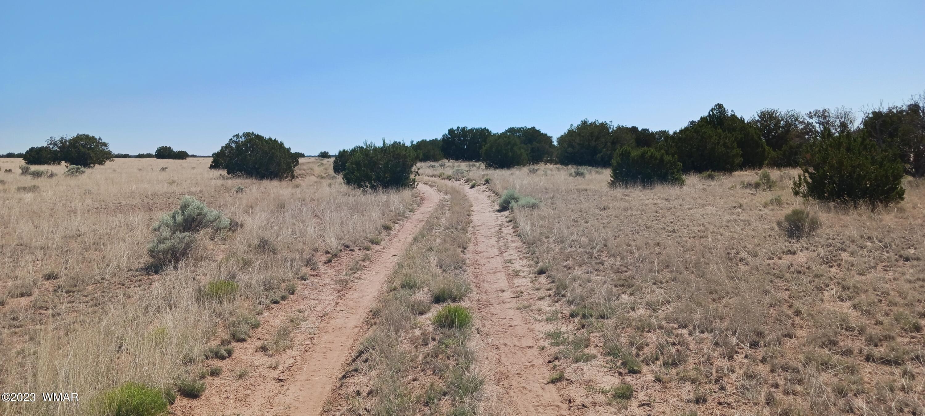 Lot 367 (red Sky Ranches) St. Johns, AZ 85936 - Photo 31 of 35