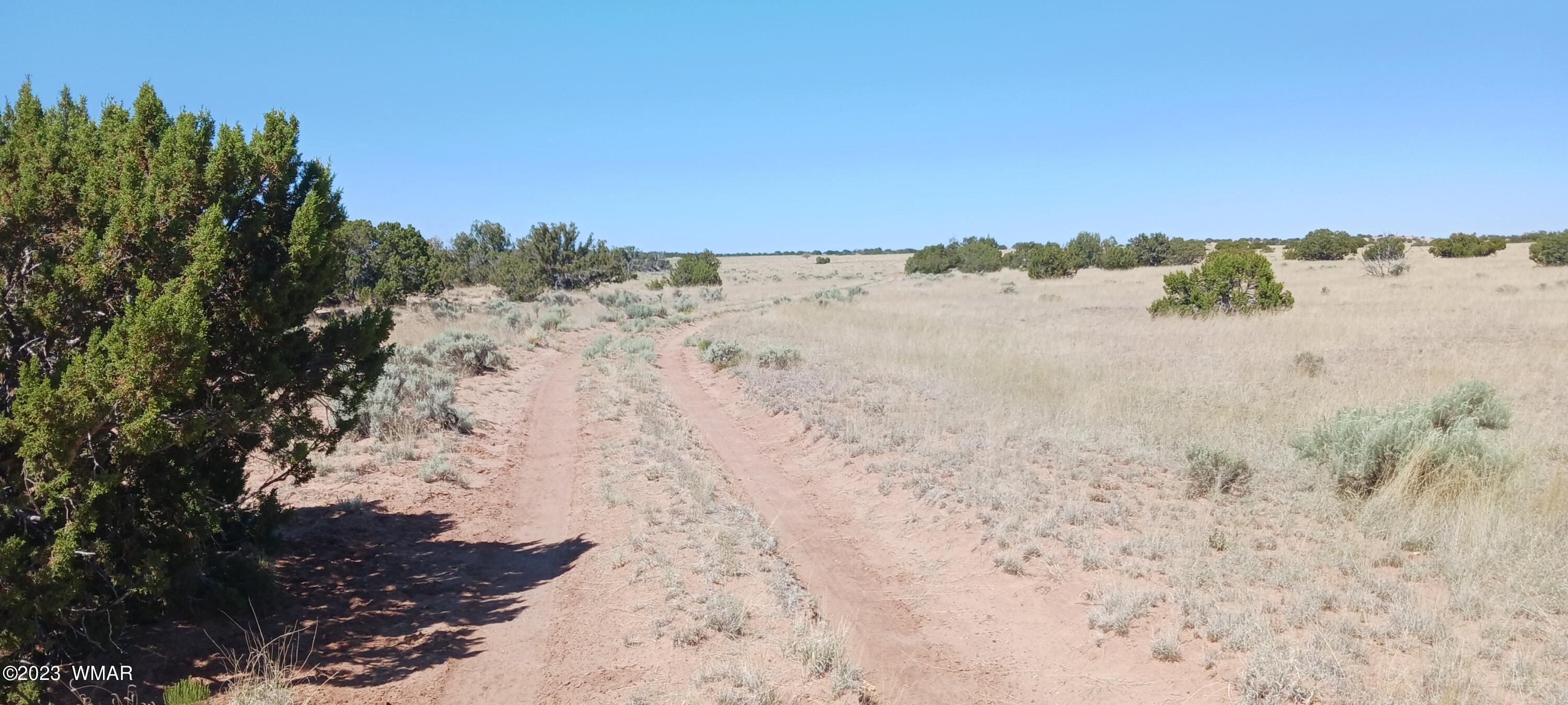 Lot 367 (red Sky Ranches) St. Johns, AZ 85936 - Photo 32 of 35