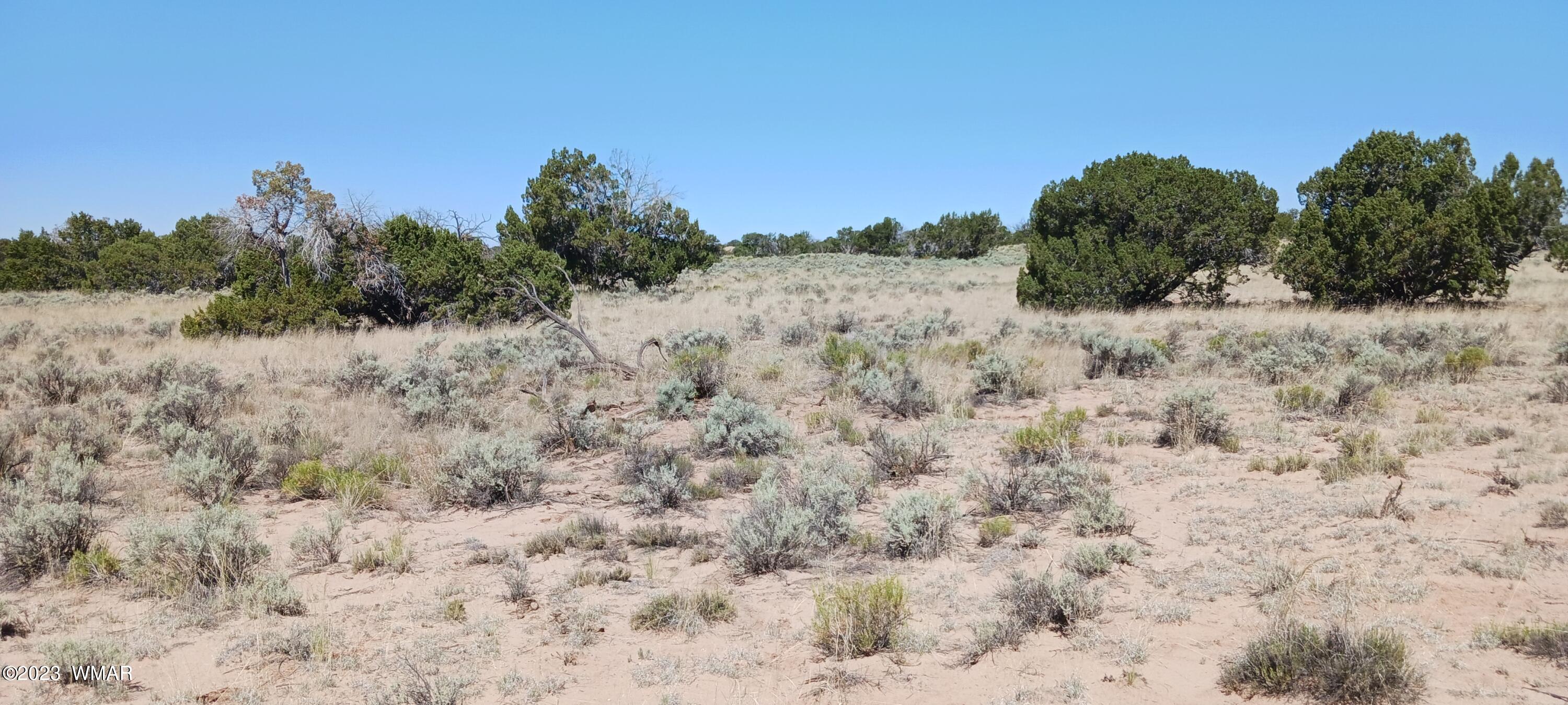 Lot 367 (red Sky Ranches) St. Johns, AZ 85936 - Photo 33 of 35