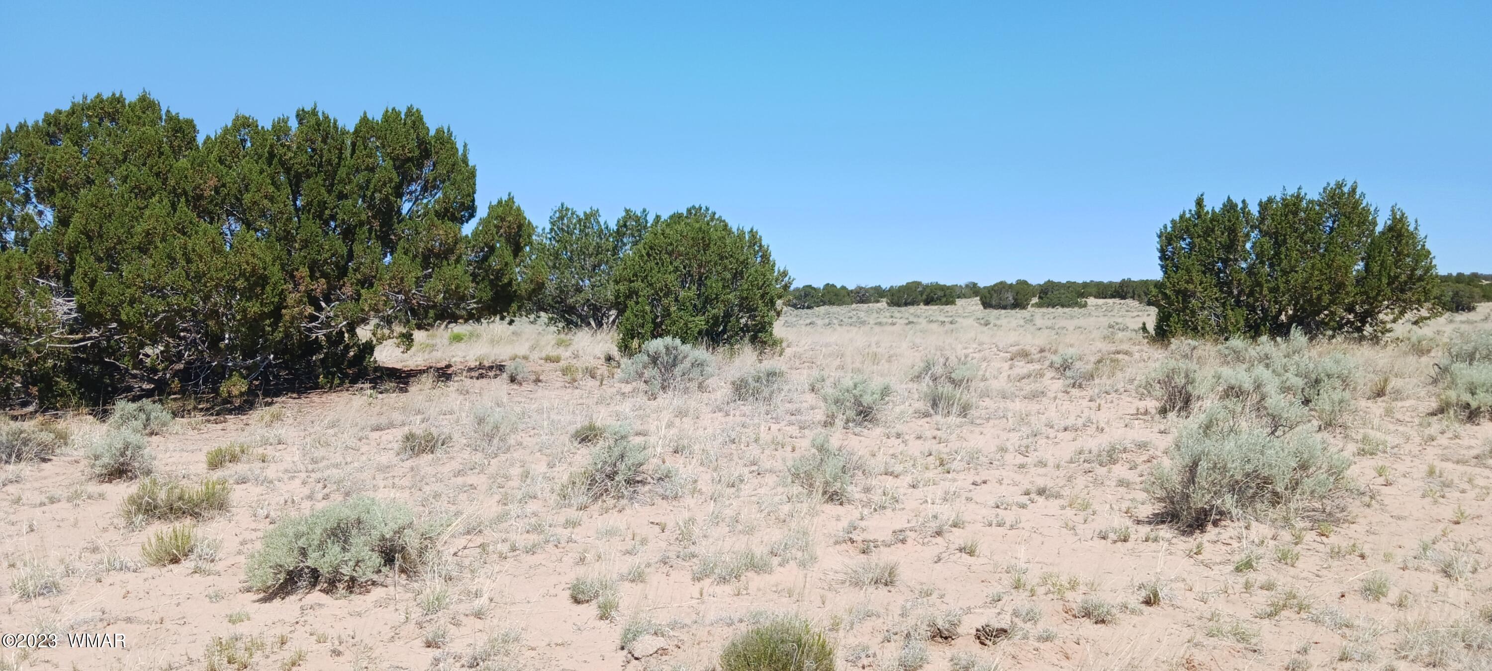 Lot 367 (red Sky Ranches) St. Johns, AZ 85936 - Photo 34 of 35