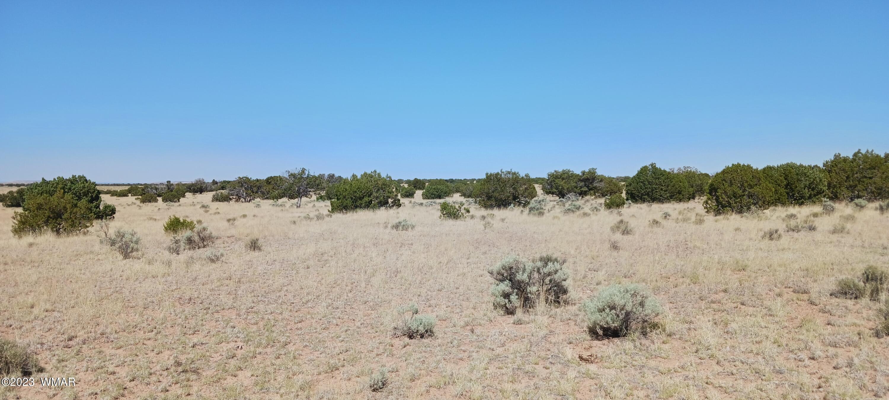 Lot 367 (red Sky Ranches) St. Johns, AZ 85936 - Photo 35 of 35