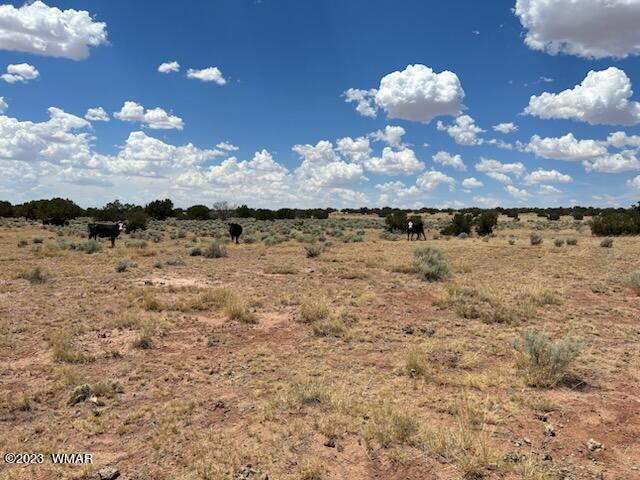 Lot 367 (red Sky Ranches) St. Johns, AZ 85936 - Photo 4 of 35