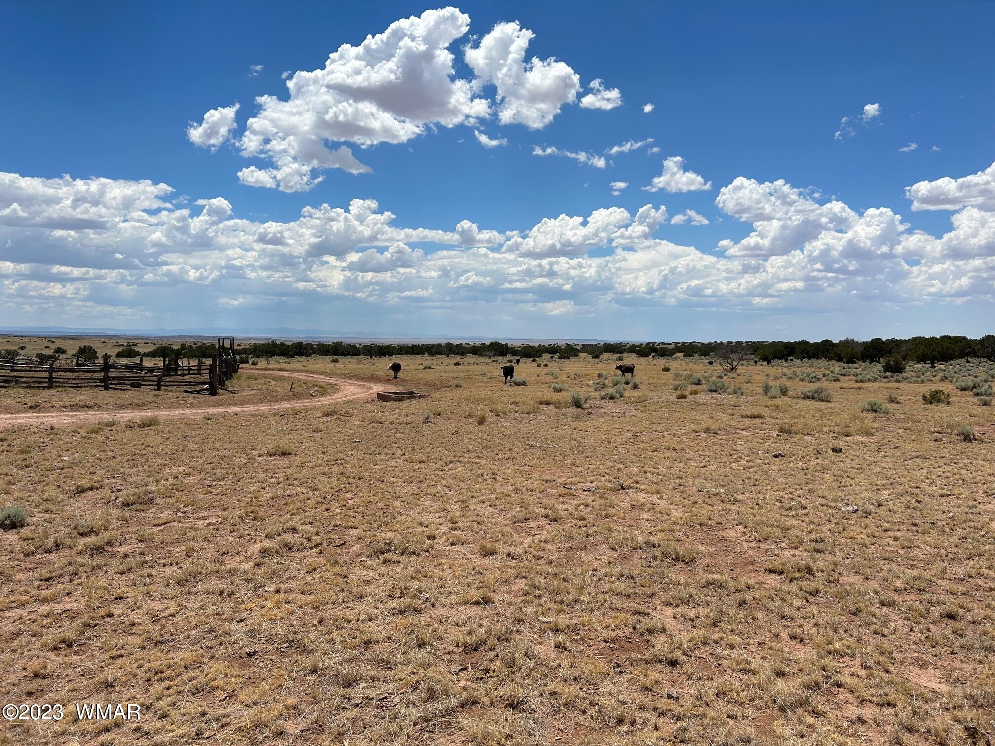 Lot 367 (red Sky Ranches) St. Johns, AZ 85936 - Photo 5 of 35