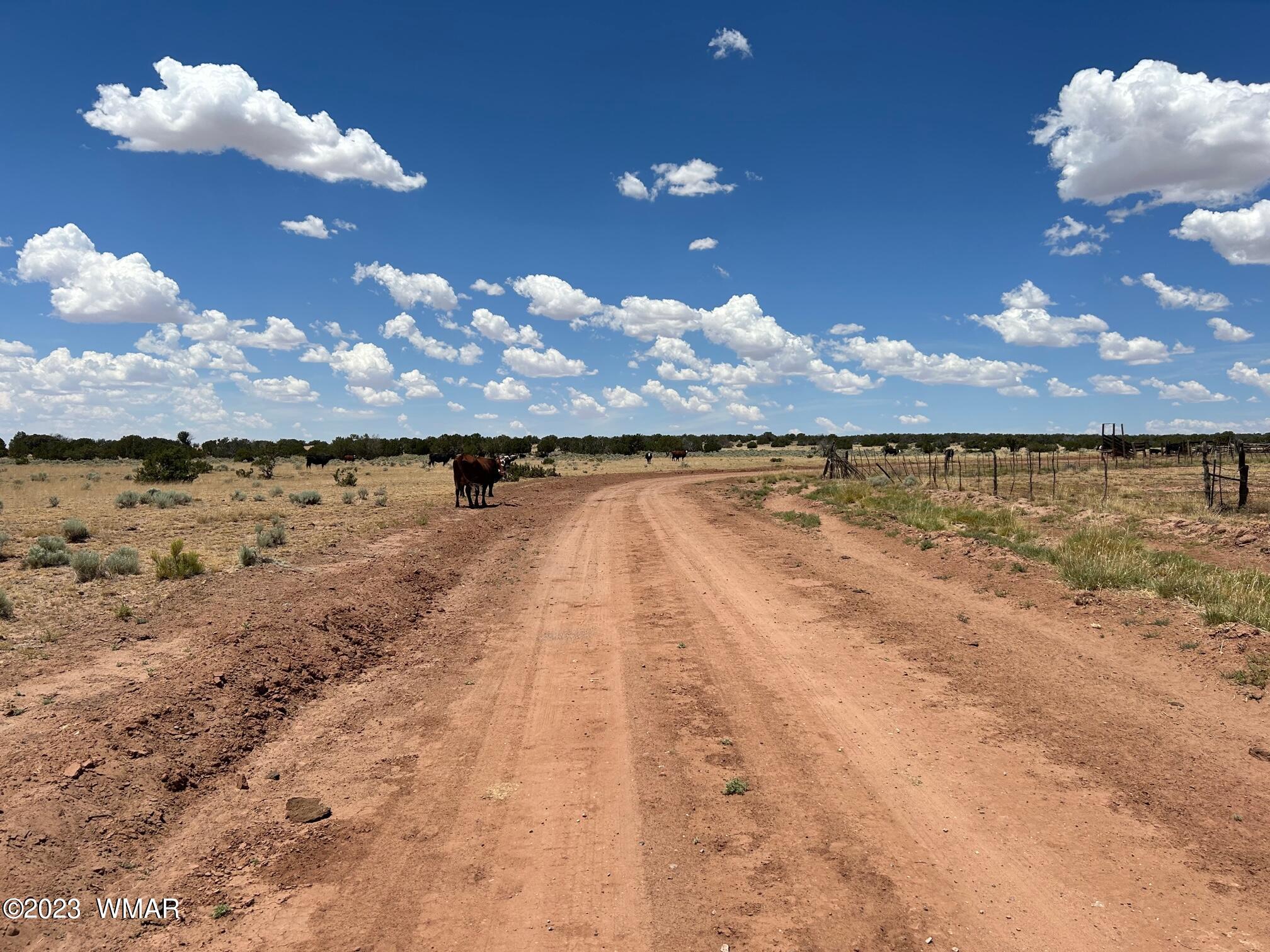 Lot 367 (red Sky Ranches) St. Johns, AZ 85936 - Photo 6 of 35