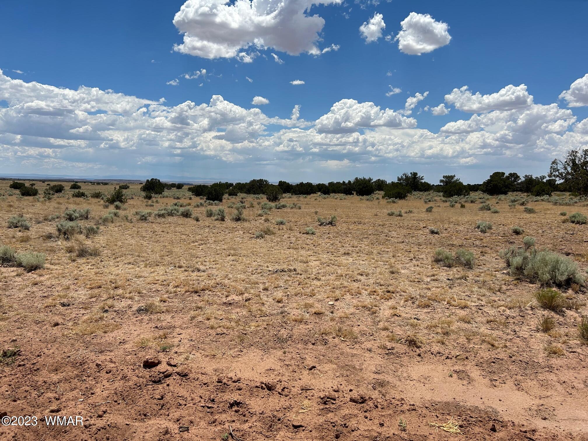 Lot 367 (red Sky Ranches) St. Johns, AZ 85936 - Photo 7 of 35