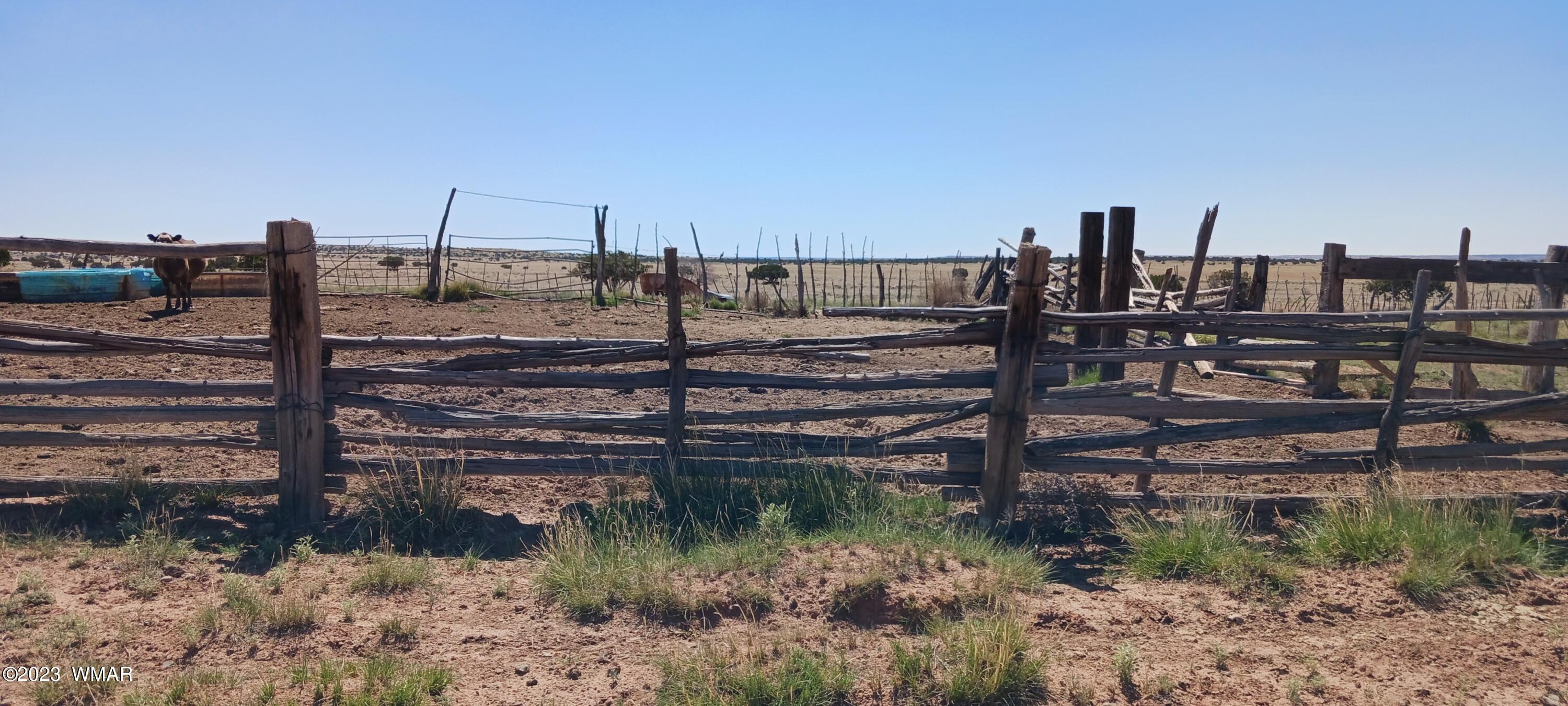 Lot 367 (red Sky Ranches) St. Johns, AZ 85936 - Photo 8 of 35