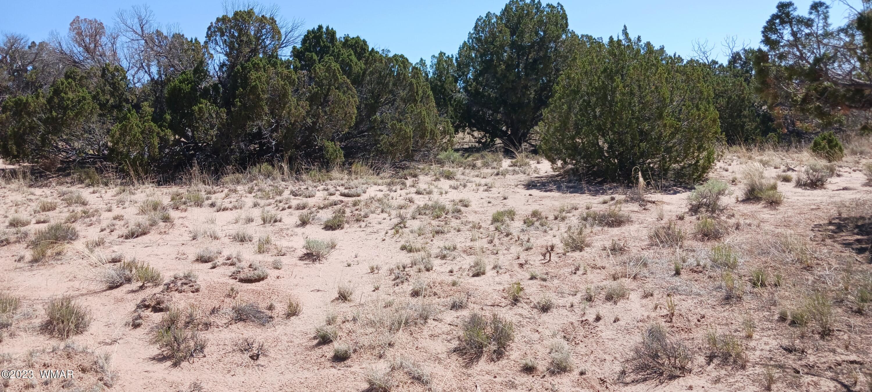 Lot 367 (red Sky Ranches) St. Johns, AZ 85936 - Photo 9 of 35