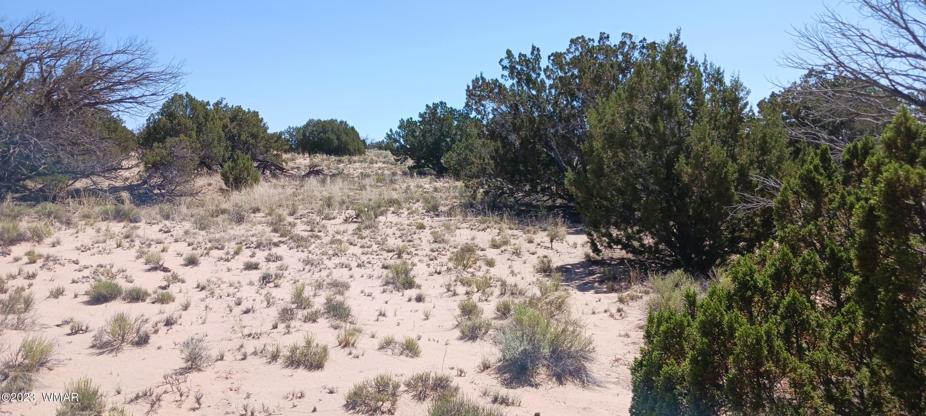 Lot 367 (red Sky Ranches) St. Johns, AZ 85936 - Photo 10 of 35