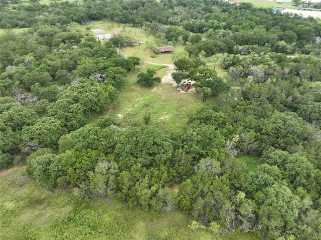 a view of a lush green forest