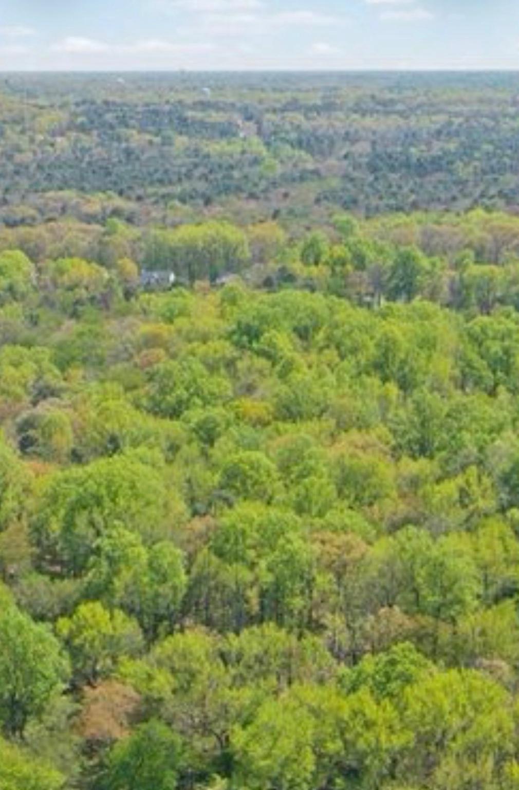3 Cross Road Pine Hill, NJ 08021 - Photo 23 of 24 This is the backdrop. Better in person So peaceful
