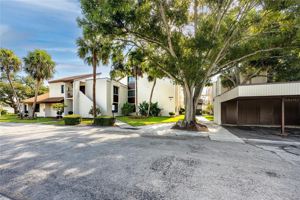 2207 Belleair Road, Unit B4 Clearwater, FL 33764 - Photo 36 of 37 a view of a house with fountain and a tree