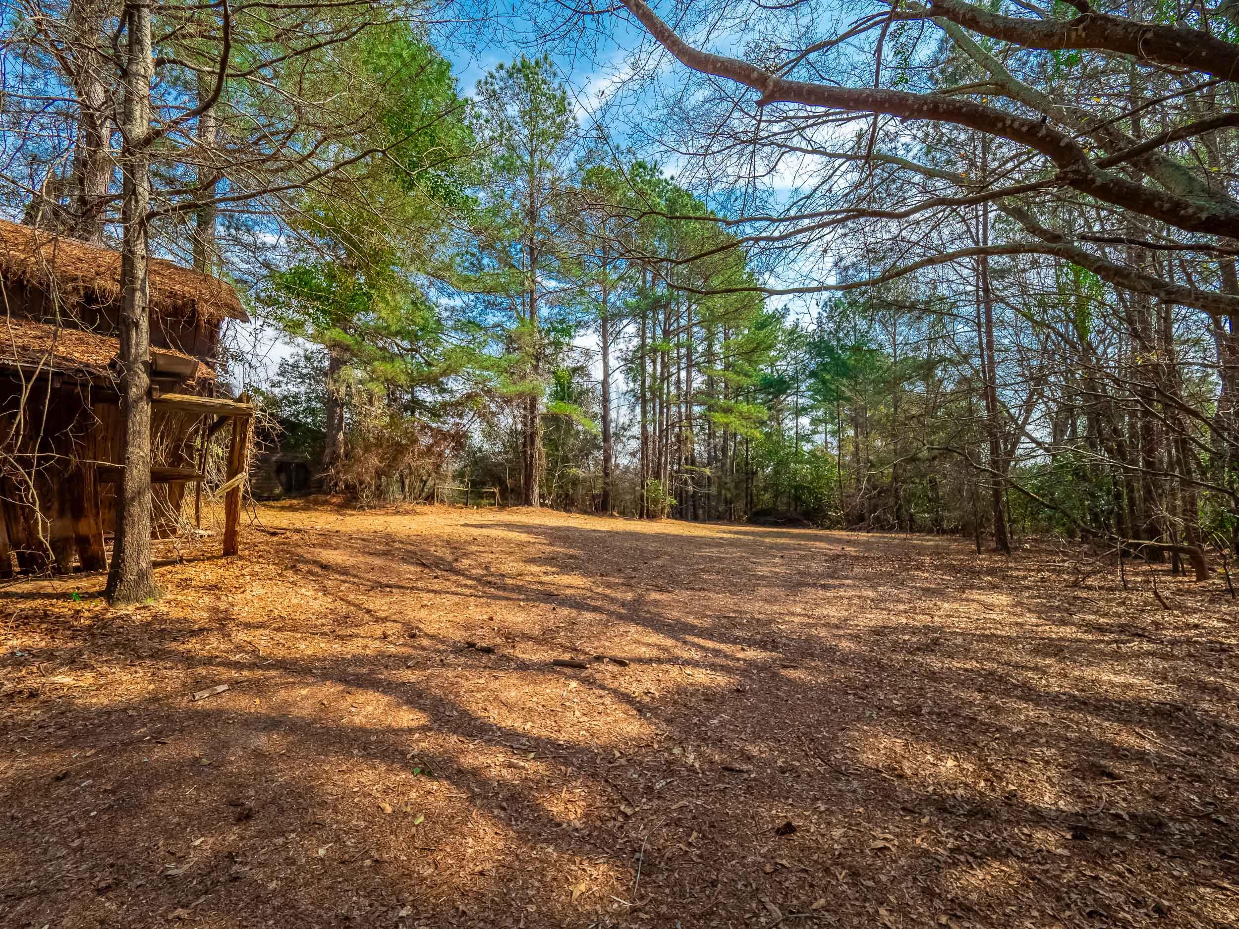 606 Columbia Road Edgefield, SC 29824 - Photo 33 of 34