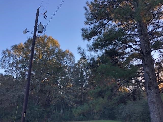 6-ac Adams Pond Road Opp, AL 36467 - Photo 19 of 20 Gallery Image 19