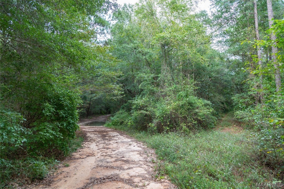 10 County Road 10 Samson, AL 36477 - Photo 22 of 22 Gallery Image 22
