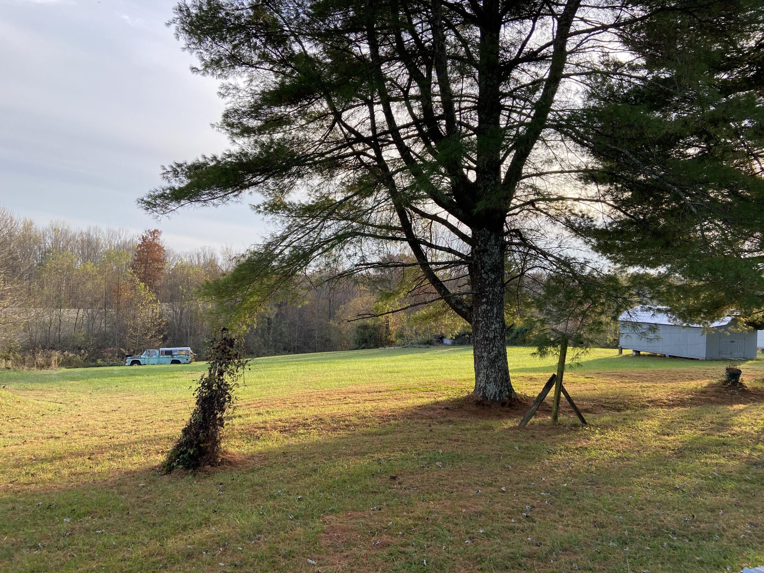 3715 Hickory Nut Road Nancy, KY 42544 - Photo 34 of 45 ABF9BD1A-AE99-4745-9A65-7E55C1BA78F8<|><