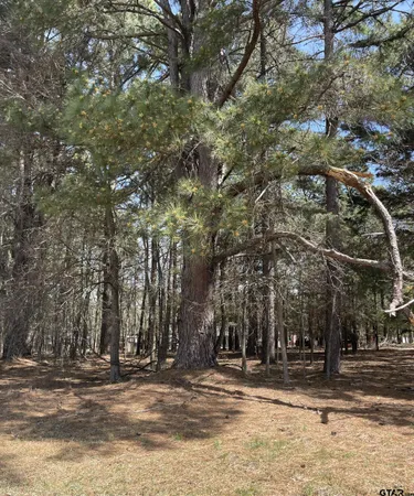 a view of road with trees