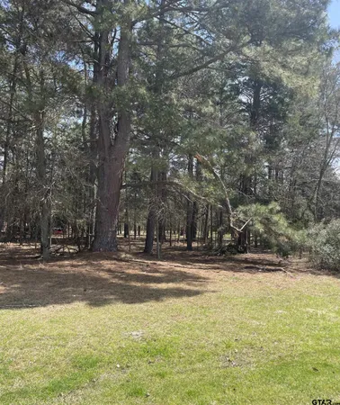 a view of a yard with a tree