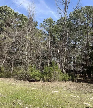 a view of a backyard with large trees