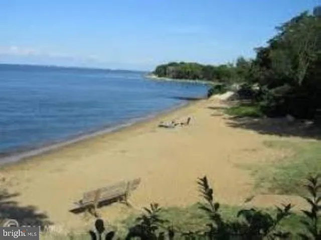 a view of lake with trees