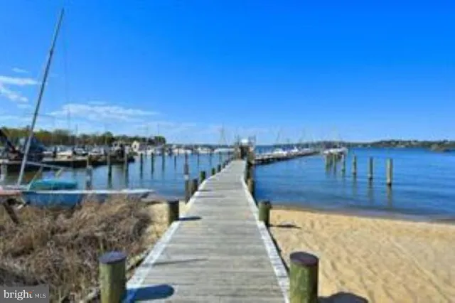 a view of water with boats and trees in the background