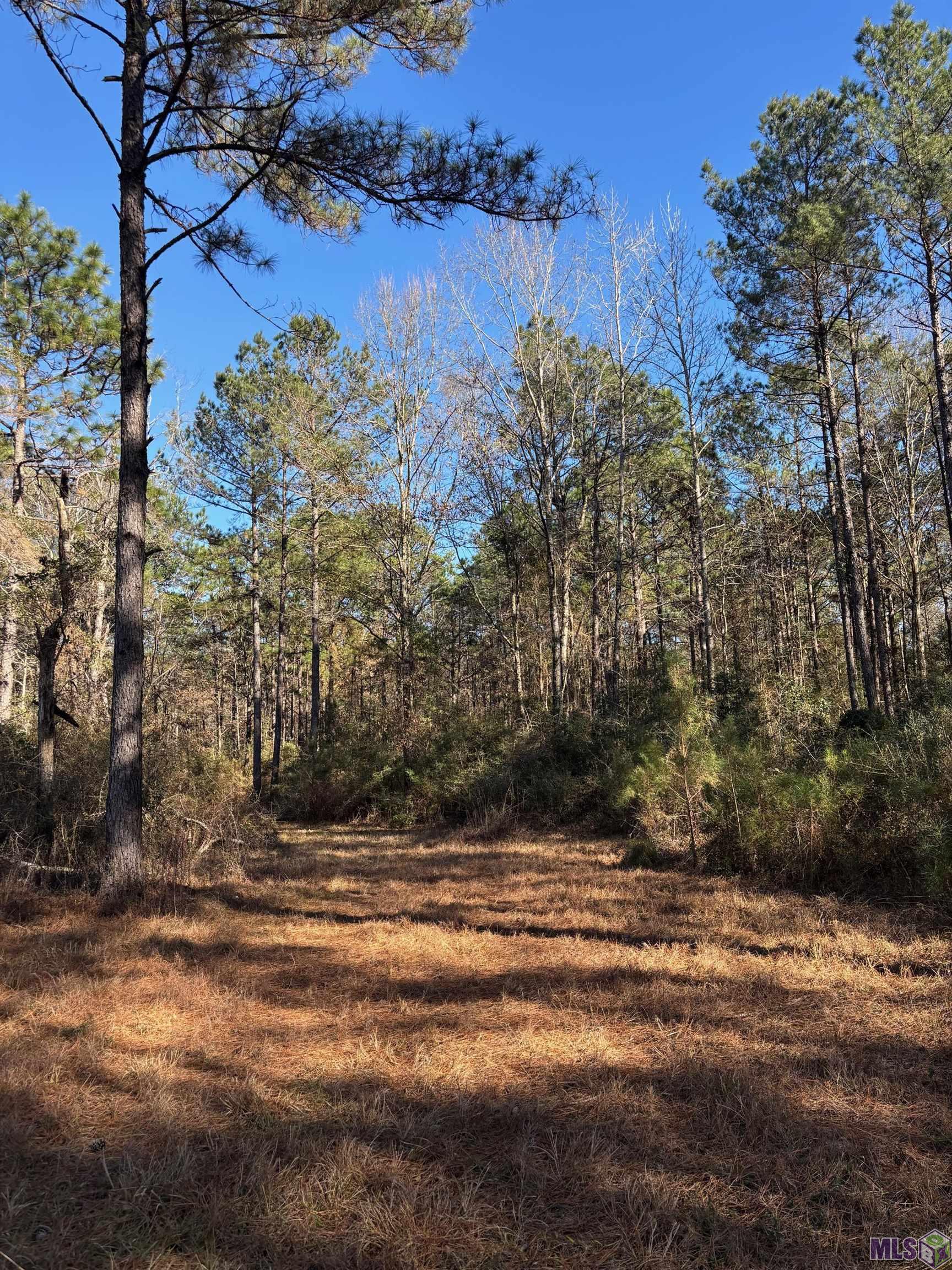 27196 C O Crockett Road Angie, LA 70426 - Photo 12 of 16