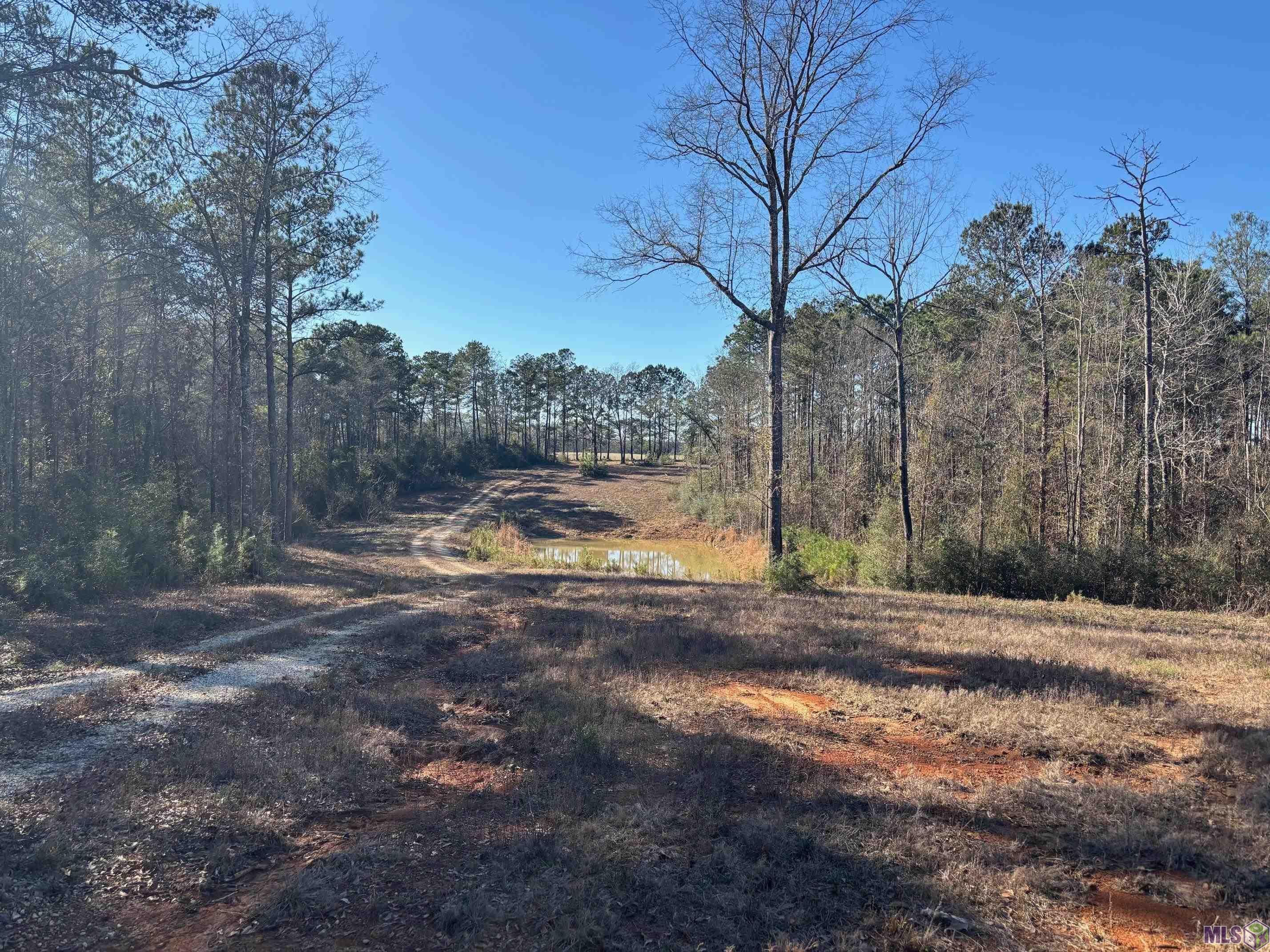 27196 C O Crockett Road Angie, LA 70426 - Photo 13 of 16