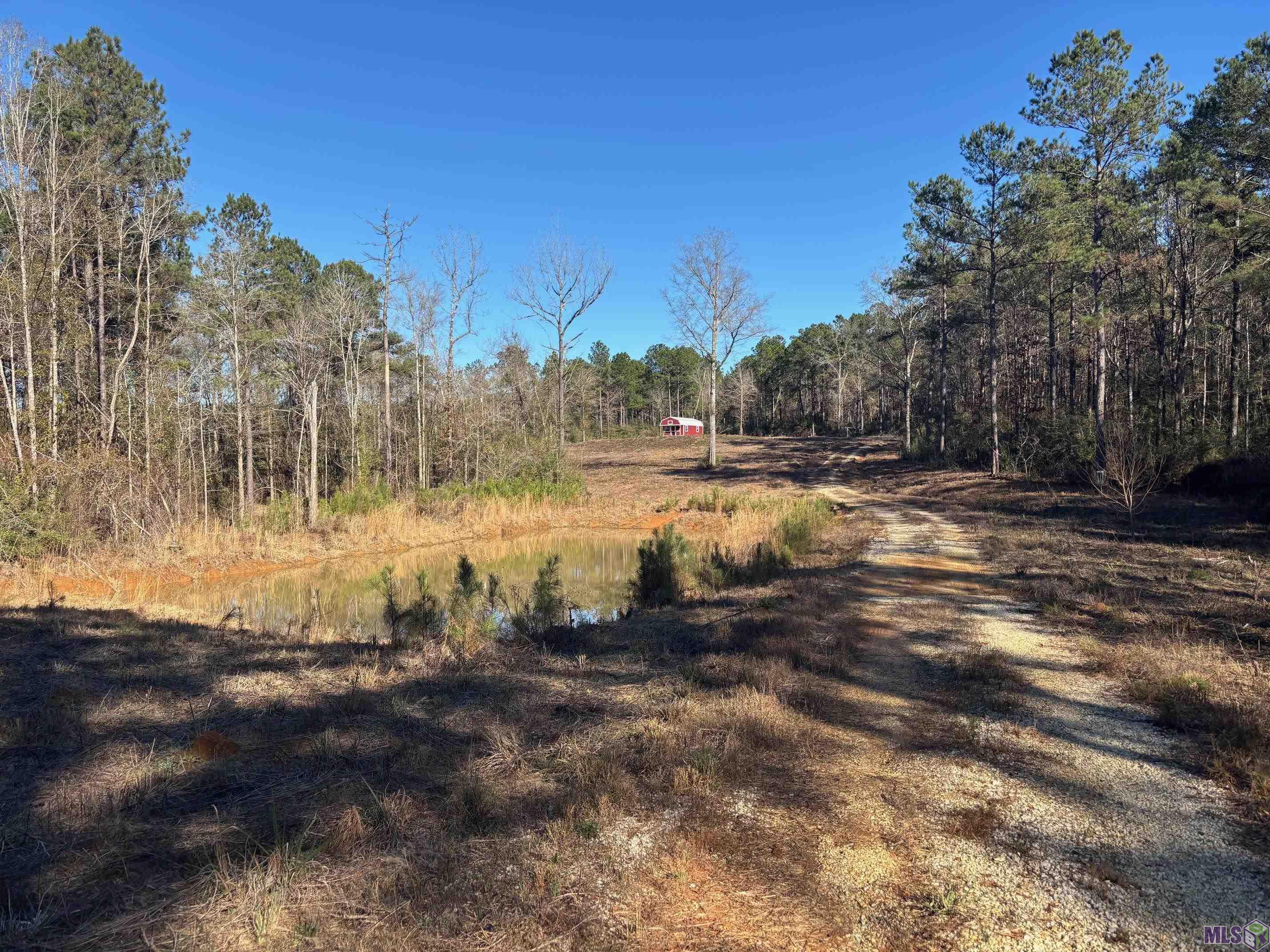 27196 C O Crockett Road Angie, LA 70426 - Photo 15 of 16