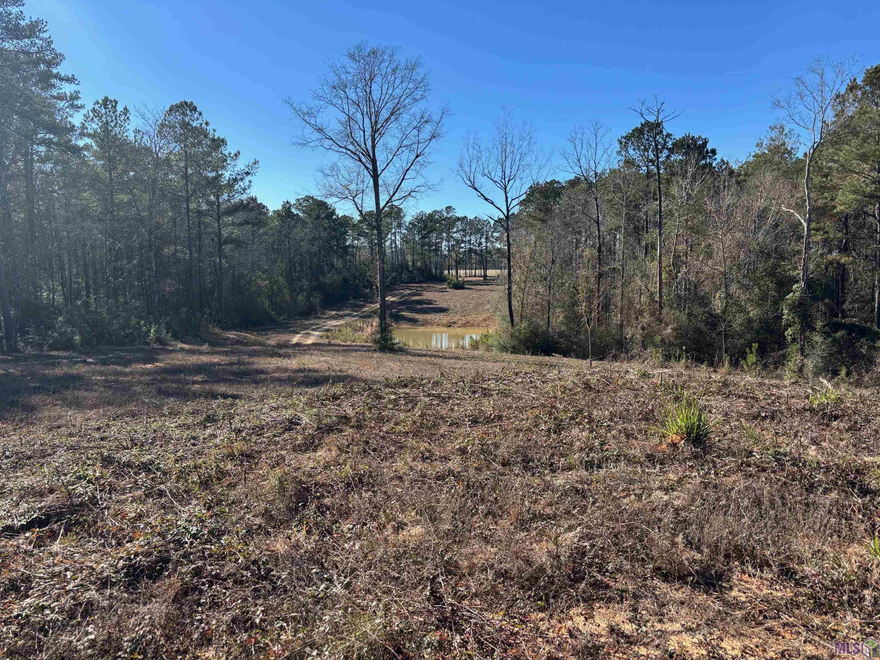 27196 C O Crockett Road Angie, LA 70426 - Photo 16 of 16