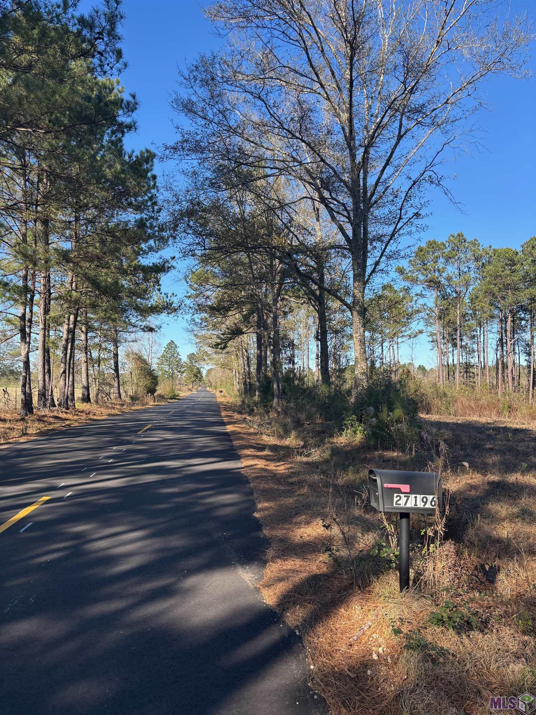 27196 C O Crockett Road Angie, LA 70426 - Photo 2 of 16