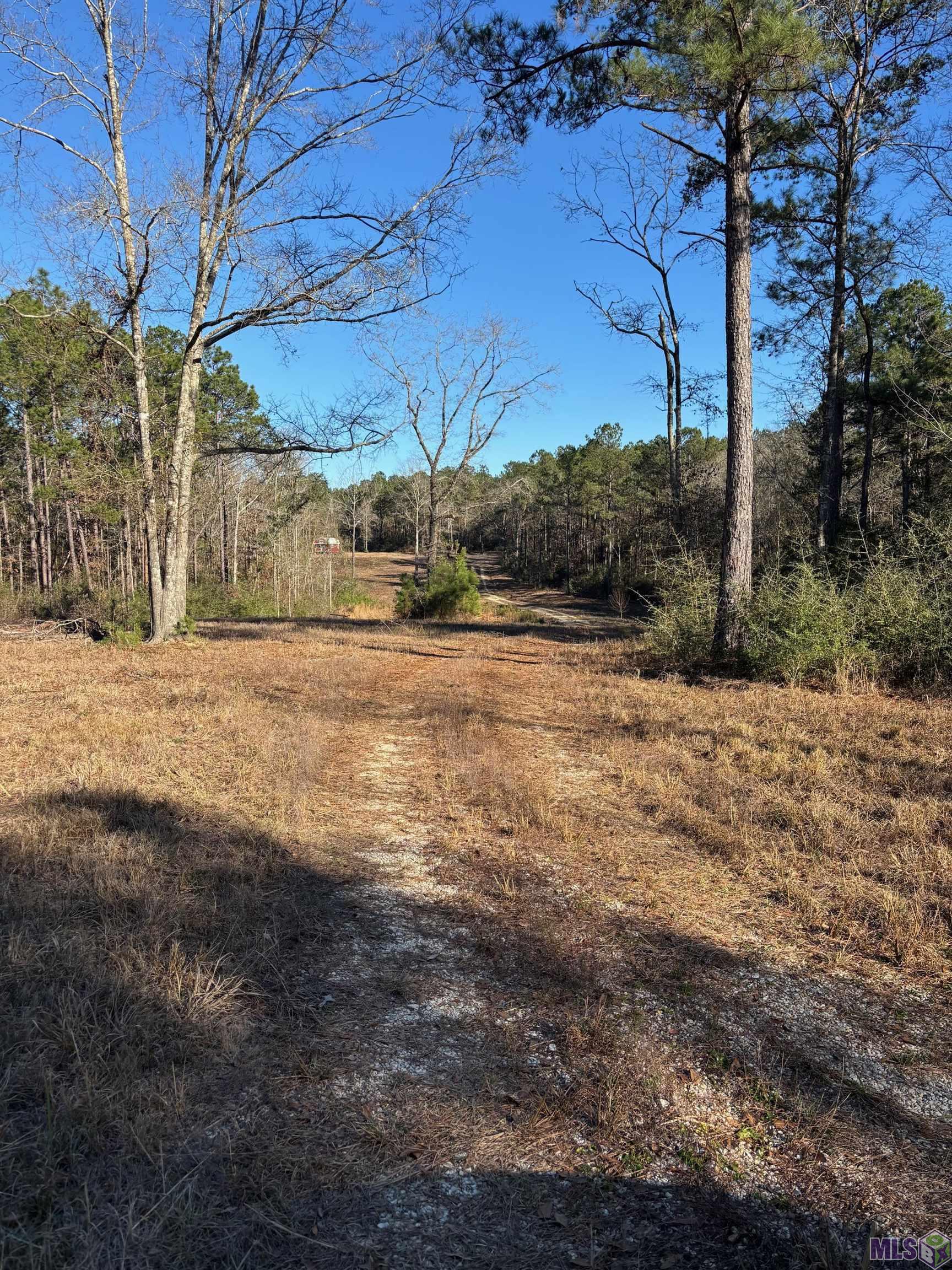 27196 C O Crockett Road Angie, LA 70426 - Photo 3 of 16