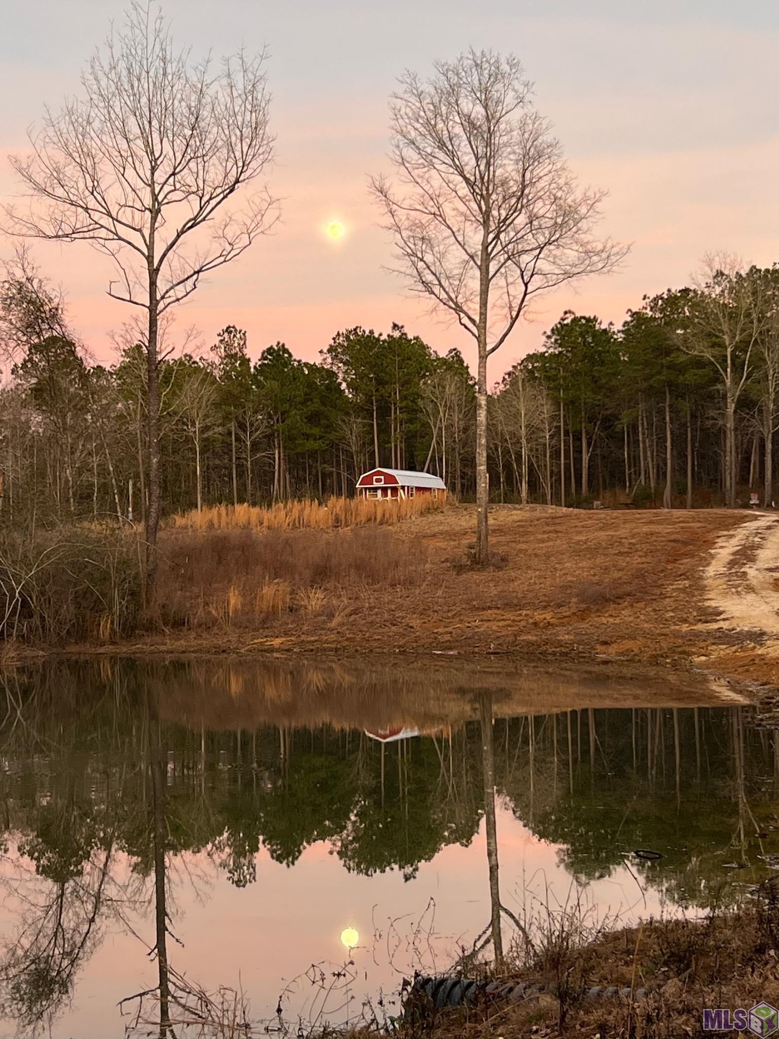 27196 C O Crockett Road Angie, LA 70426 - Photo 4 of 16