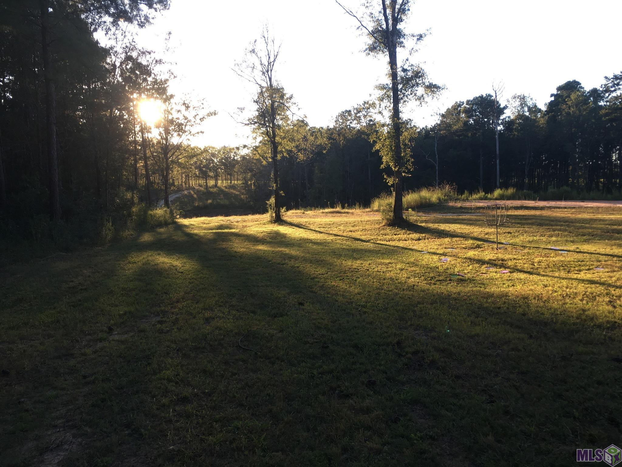 27196 C O Crockett Road Angie, LA 70426 - Photo 5 of 16