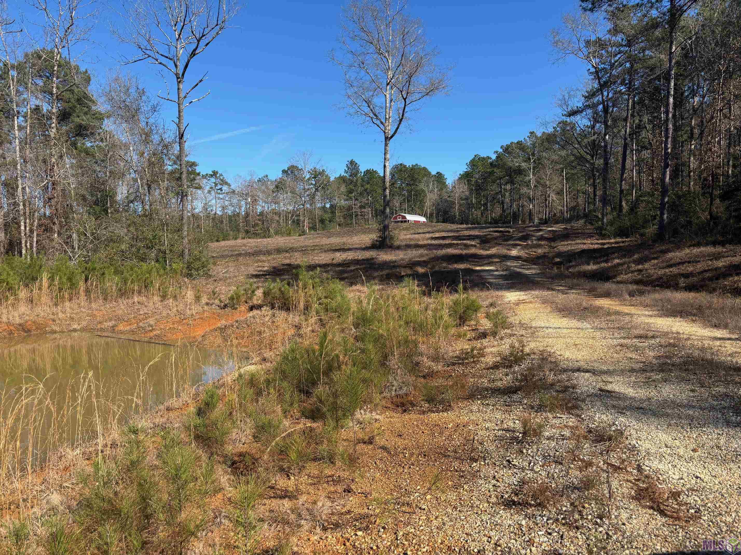 27196 C O Crockett Road Angie, LA 70426 - Photo 9 of 16