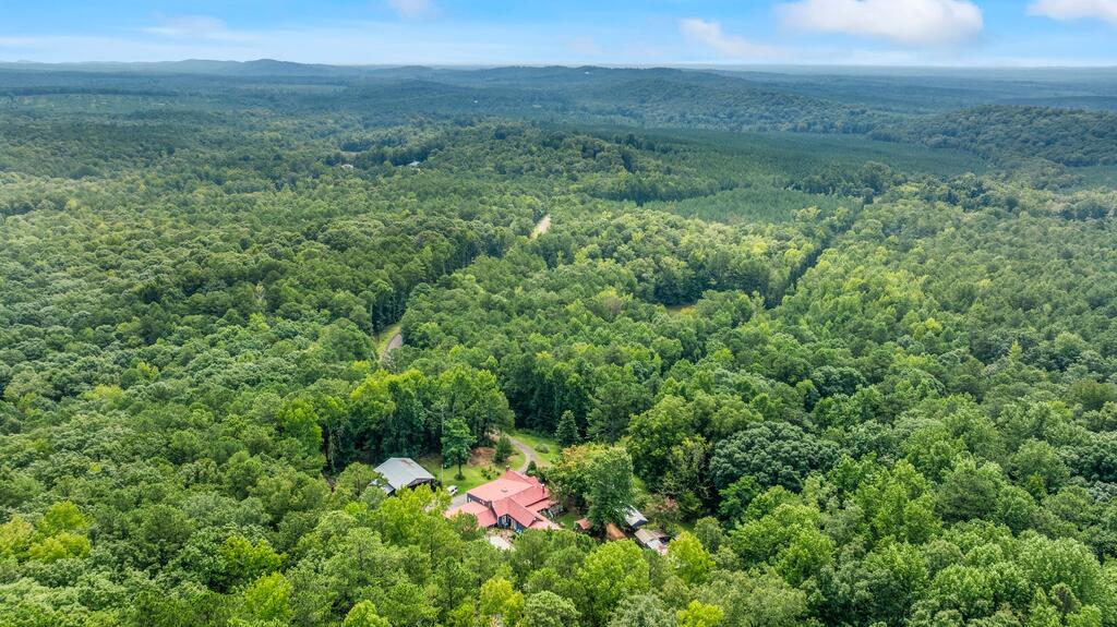 460 Roger Copeland Road Hamilton, GA 31811 - Photo 66 of 74 Gallery Image 66