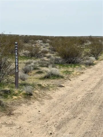 a view of a dry yard with wooden fence