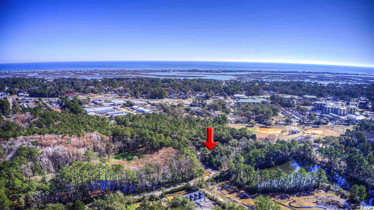975 Pond Road Murrells Inlet, SC 29576 - Photo 3 of 36 Gallery Image 3