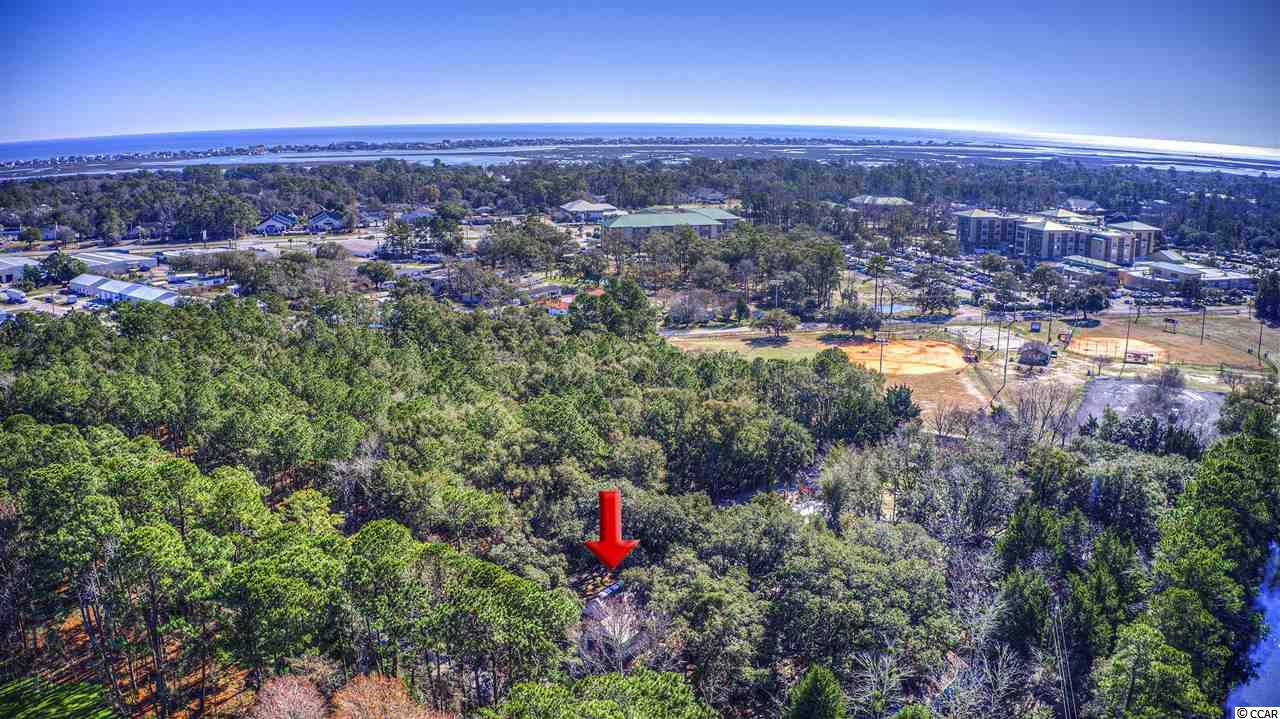 975 Pond Road Murrells Inlet, SC 29576 - Photo 29 of 36 Gallery Image 29