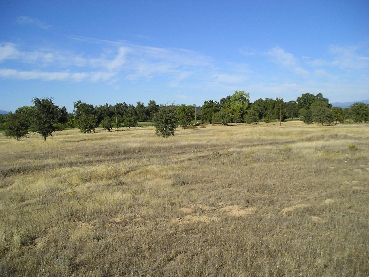 Silverlode Palo Cedro, CA 96073 - Photo 1 of 1 5 acres