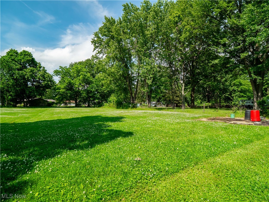 110 Sprague Road Berea, OH 44017 - Photo 5 of 23 View of grassy yard