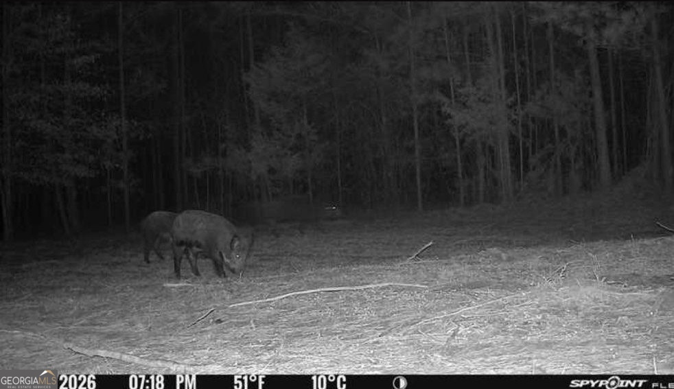 4 Ruckersville Elberton, GA 30635 - Photo 16 of 52