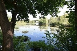4 D Forge Pond, Unit D Canton, MA 02021 - Photo 39 of 41