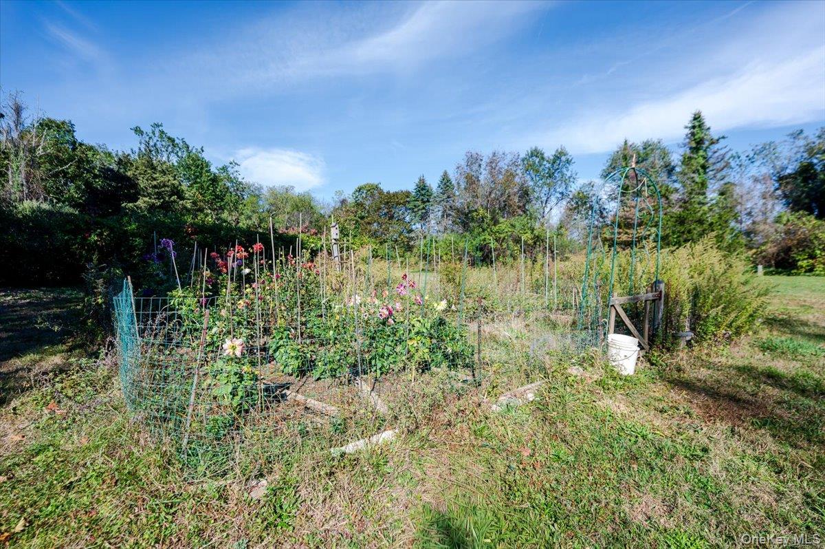 27 Cold Spring Hills Road Huntington, NY 11743 - Photo 30 of 48 a view of a garden