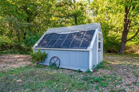 a view of backyard with large trees and plants