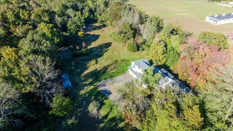 a view of a yard with plants and large trees