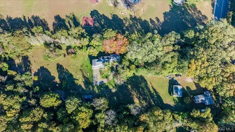 a view of grapes plant in a garden