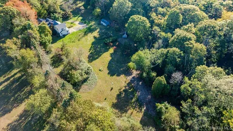 a close up of a plant
